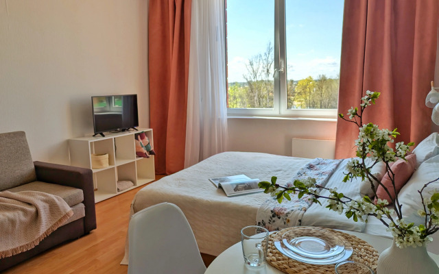 Vidovaya Studiya Pokrovskie Apartments