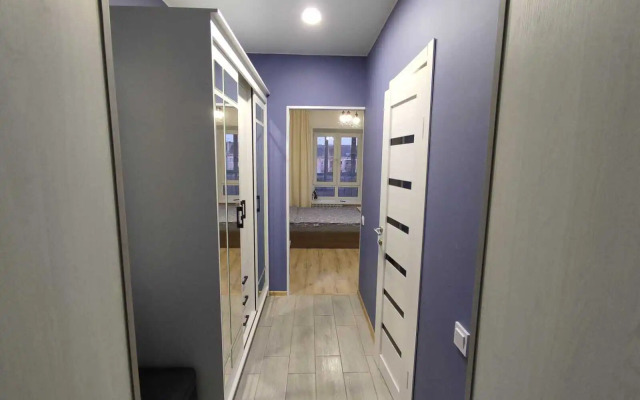 Апартаменты SeveRent на Торцева 65 114