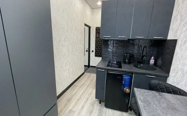 Квартира у мeтpo Чеpнышeвcкая