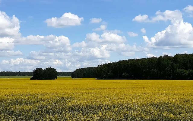 Частный дом Гостевой дом Усадьба Теплый хутор