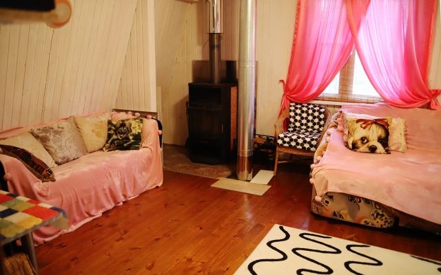 S Baney Matryoshka Guest House