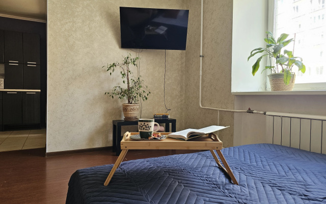 Квартира на Чистопольской Ривьера