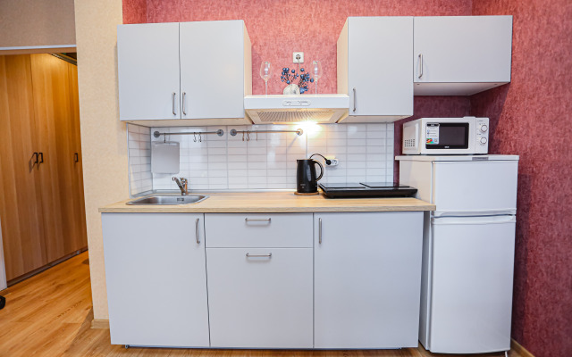 Studiya V Gagarinskikh Vysotakh Flat
