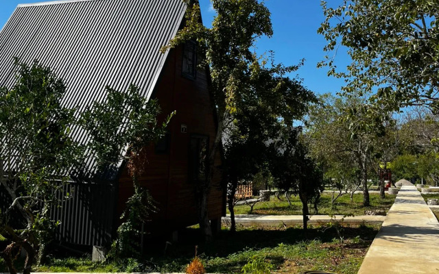 Ayfreymy Pitsunda Guest House