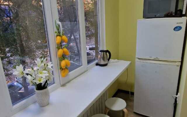 Апартаменты на улице Пушкина, Макатаева