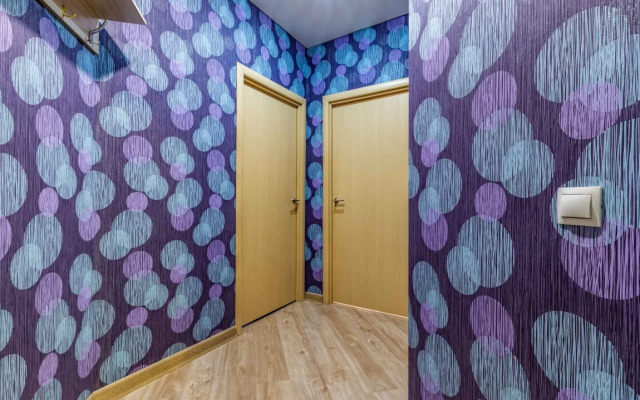 Апартаменты Миасская DreamHouse 1