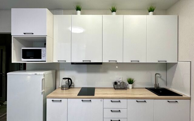 Studiya S Prekrasnym Vidom Flat