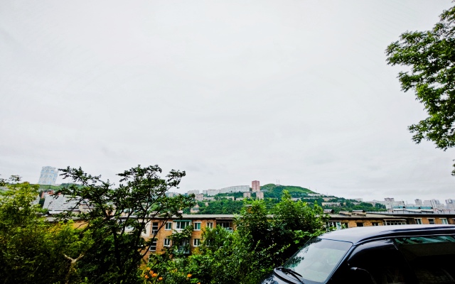 Tryokhkomnatnaya Flat