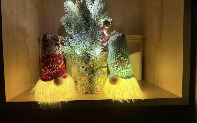 Квартира Рождественская