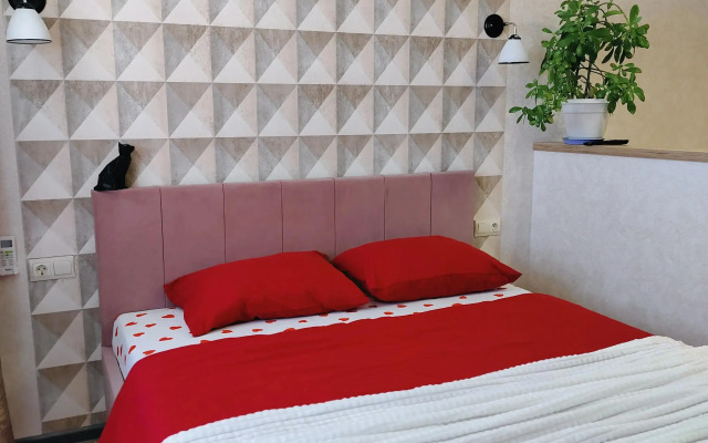 Studiya V Tsentre Voronezha Flat