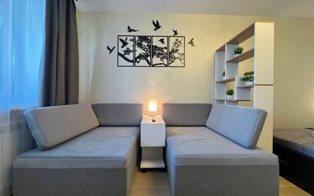 Uyutnaya dlya gostey goroda Flat