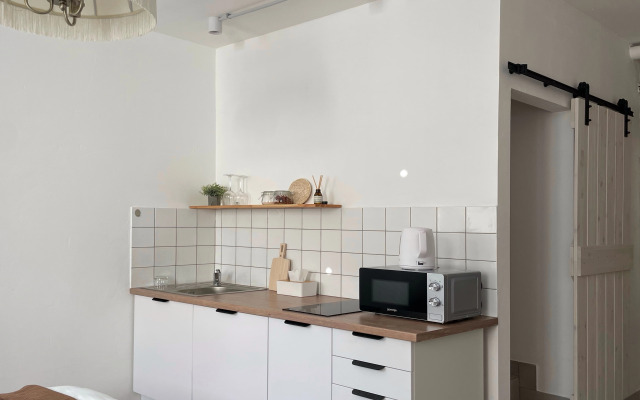 Studiya vo Fligele Starinnogo Doma Flat
