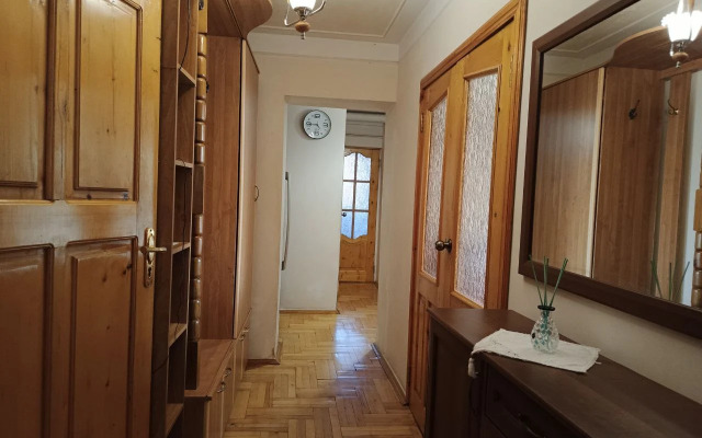 V Tsentre Goroda Flat