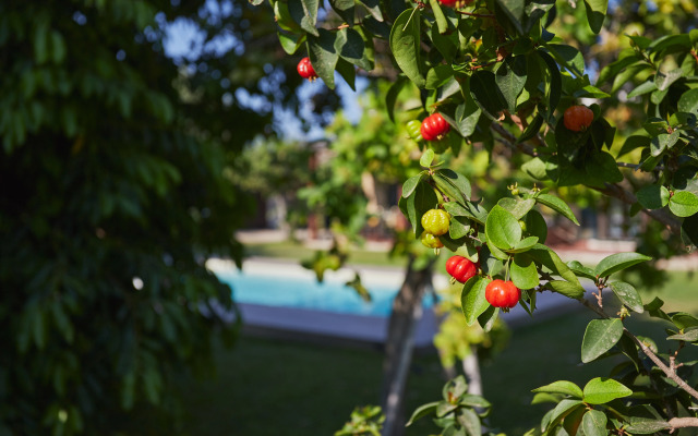 Вилла Casale della Pergola