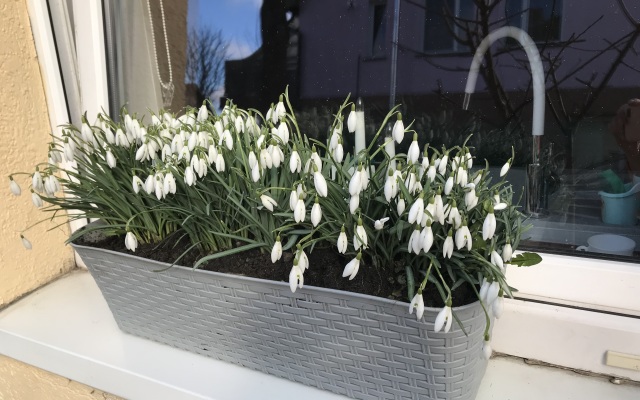 Апартаменты Студия с Отдельным Входом Патио Мангал Парковка