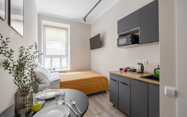 Квартира Студия в Историческом Центре Санкт Петербурга