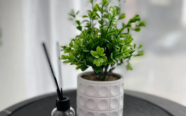 Квартира просторная в Пионерском