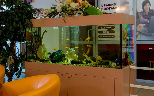 Отель Амакс