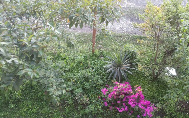 Achi Guest House