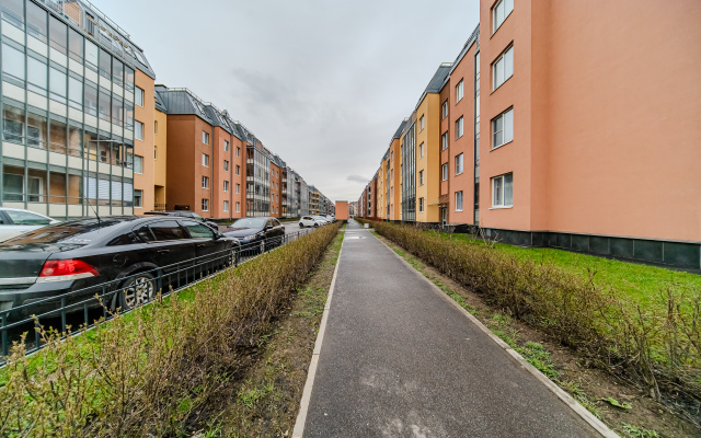 Квартира 2 евро у аэропорта на Пулковском шоссе