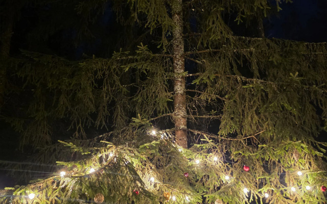 Veykpark Volma Recreation camp