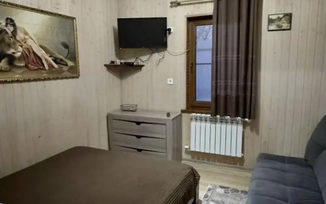 Grey House (little) Private house