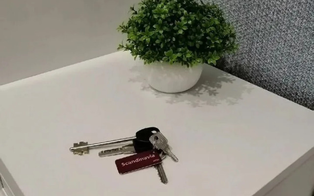Studiya Na Kolmovskoy Naberezhnoy 71b Flat