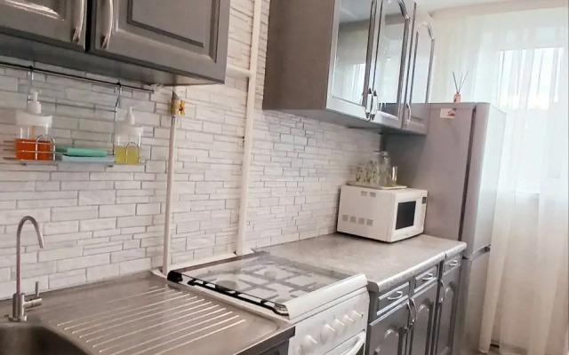 Квартира Двухкомнатная Большакова 99