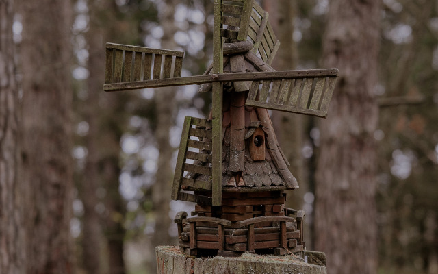 Отель Пайн Ривер