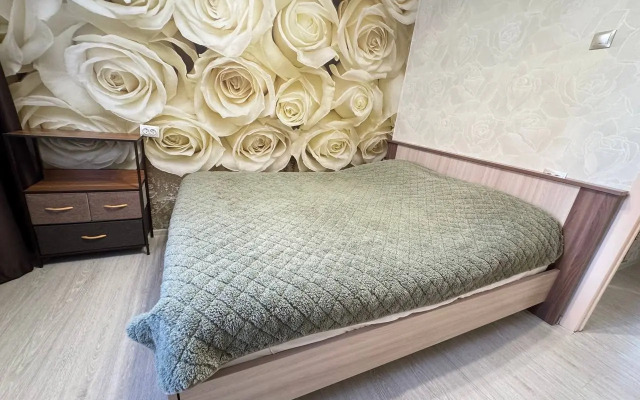 Квартира 3х Комнатная на Светлогорской 33