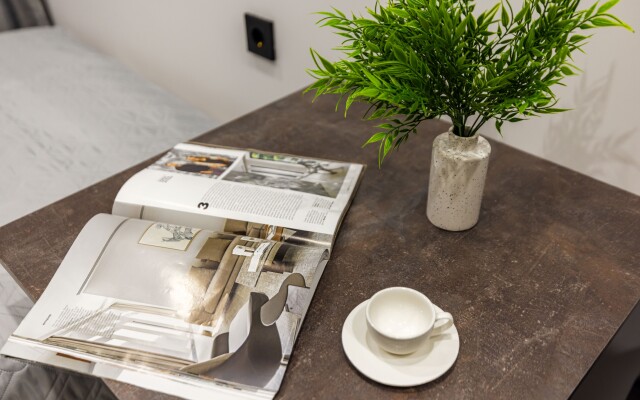 Standart LeoHotels na Bumazhnoj, 22 Apartment