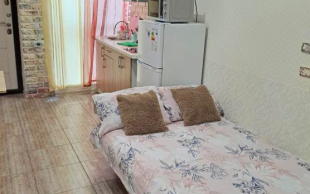 Квартира Студия на Пятигорской