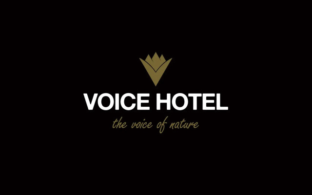 Отель Voice