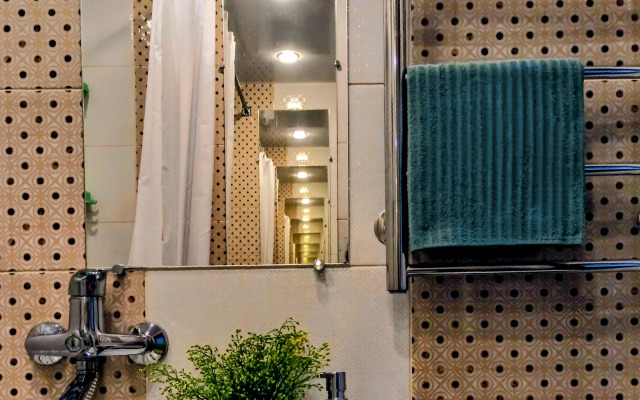 V Tsentre U Reki Pskovy Flat