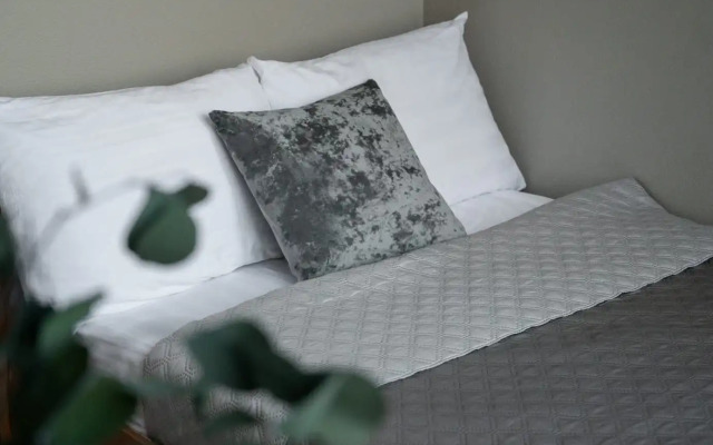 Gostevoy Dom Stadion