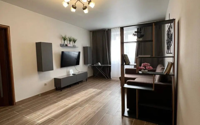 Prostornaya Kvartira V Istoricheskom Tsentre Flat