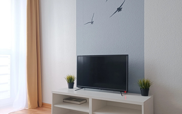 Квартира на Стачек 4