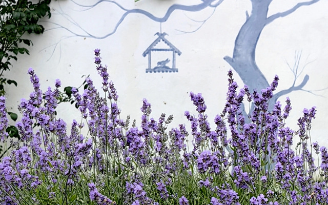 Lavandovyj Sad Guest House