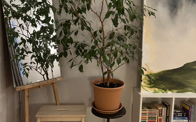 Квартира художницы