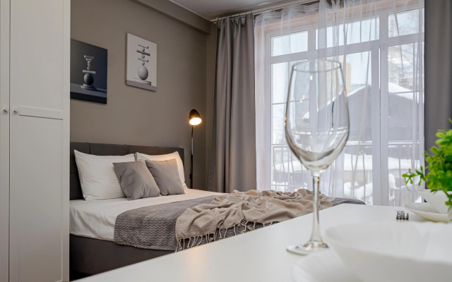 Квартира Уютная строгая студия у Цирка