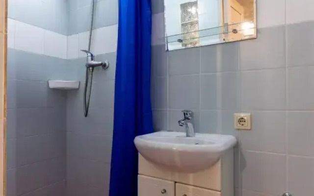 Апартаменты 1+1  Leohotels на Лиговском