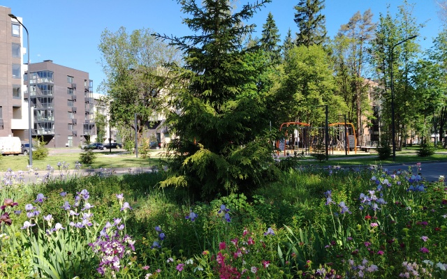 Studiya V Lesnoy Otrade Apartments