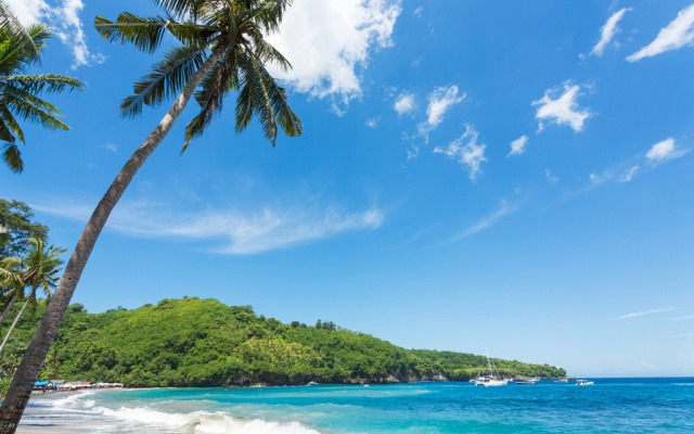 Курортный отель The Dewi Premier