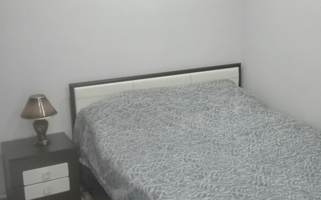 ВИП-апартаменты на Воровского 13