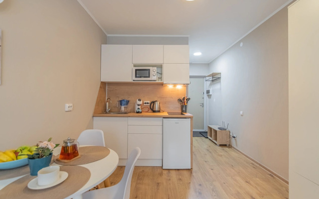 Apartment Standart SalutApart 8