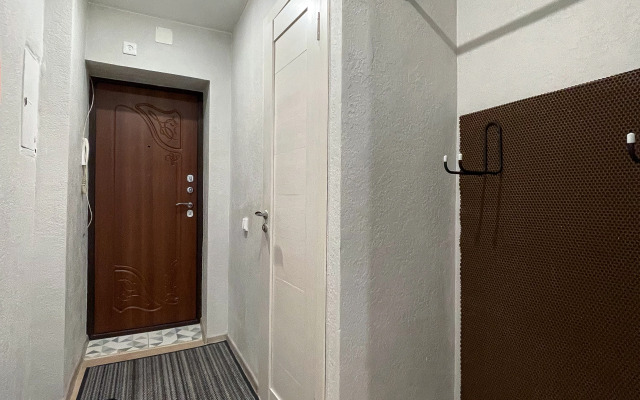 Квартира Большая однушка на Ленина 11А