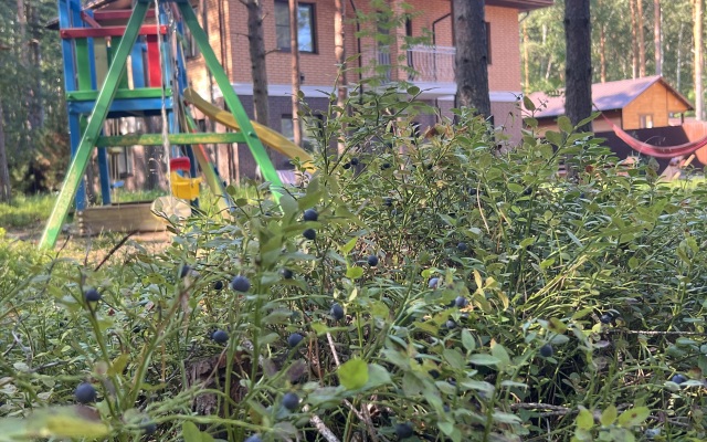 Гостевой дом Прекрасный загородный дом у Ладожского озера