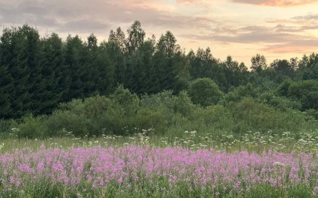 Частный дом Загородный - фото 3