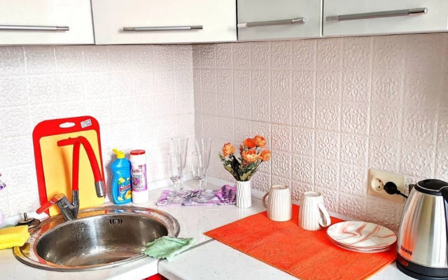 Квартира на Улице Самохвалова 1