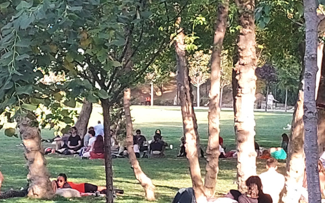 Апартаменты Kiwi